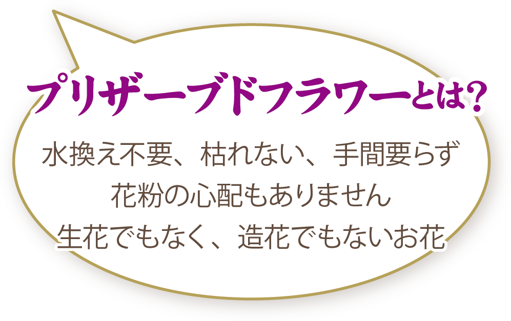 プリザーブドフラワーとは？水換え不要、枯れない、手間要らず、花粉の心配もありません。生花でもなく、造花でもないお花